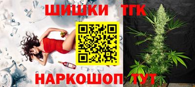 гашик Камышлов