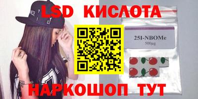 гашик Камышлов