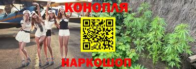 сатива Кандалакша