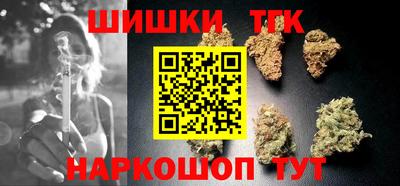 сатива Кандалакша