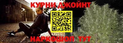гашик Камышлов