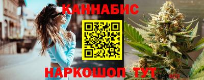 гашик Камышлов
