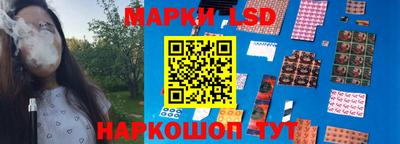 гашик Камышлов