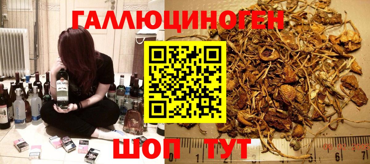 Галлюциногенные грибы Magic Shrooms  Вход с VPN  Пятигорск 
