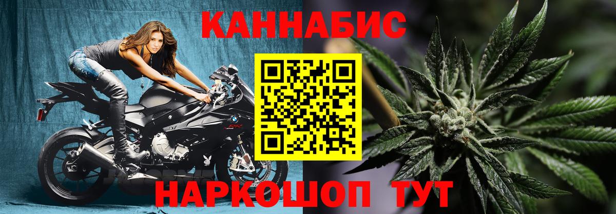 Конопля марихуана Пятигорск